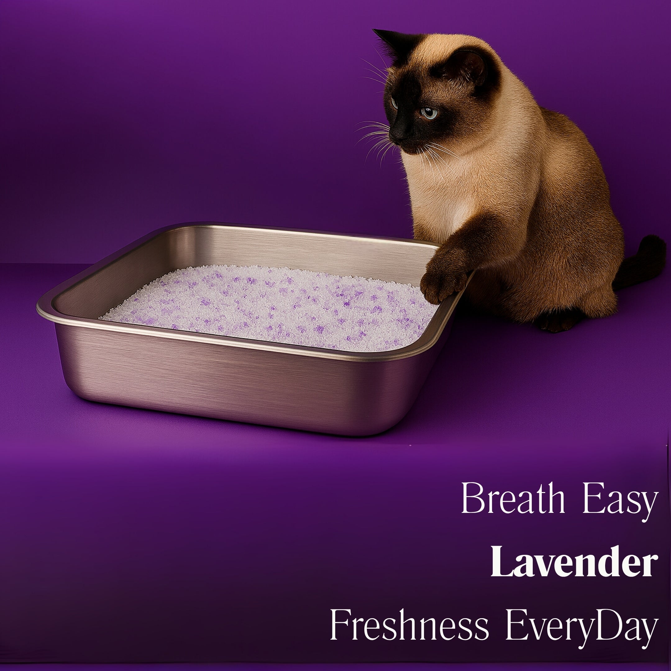 Lavender Crystal Cat Litter