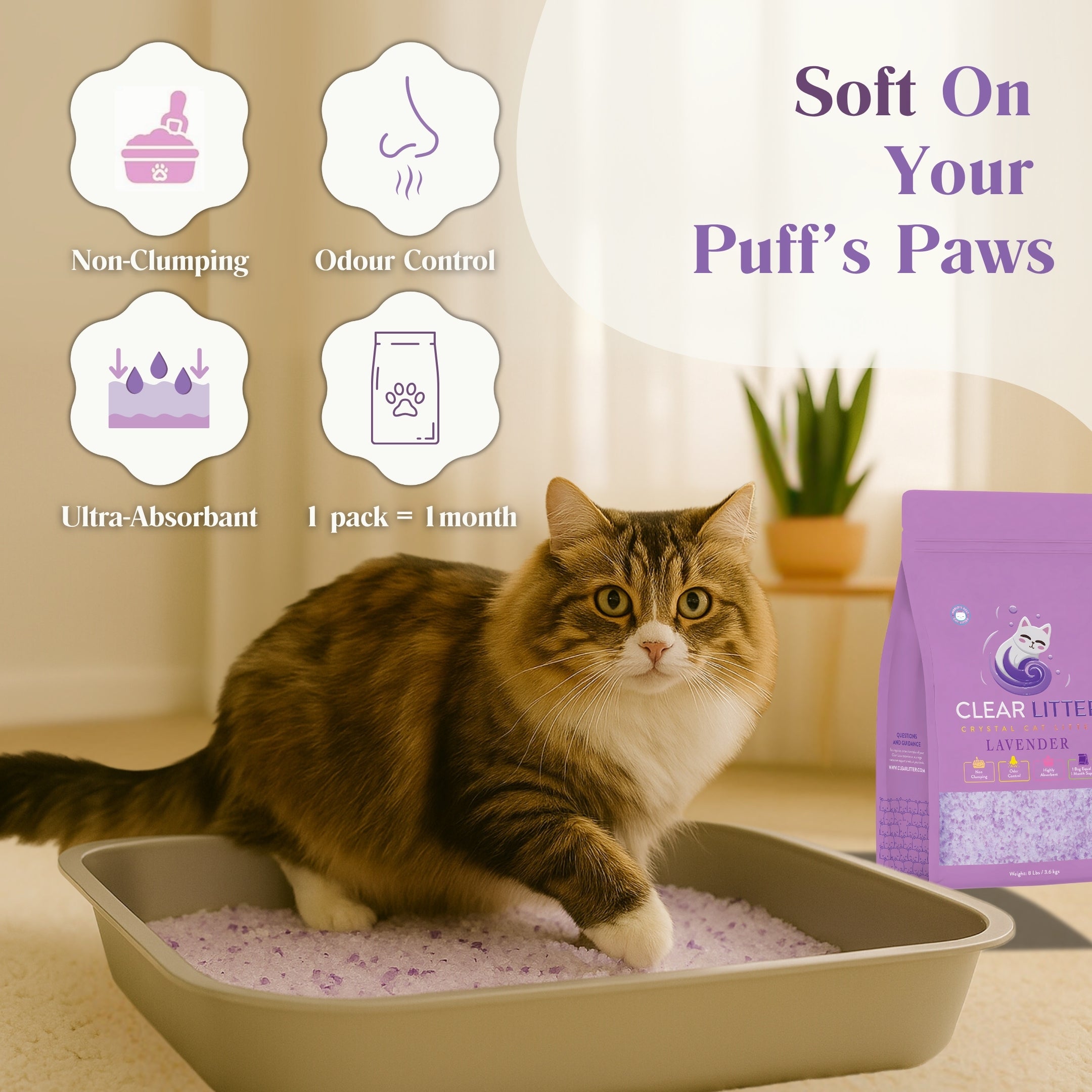 Lavender Crystal Cat Litter