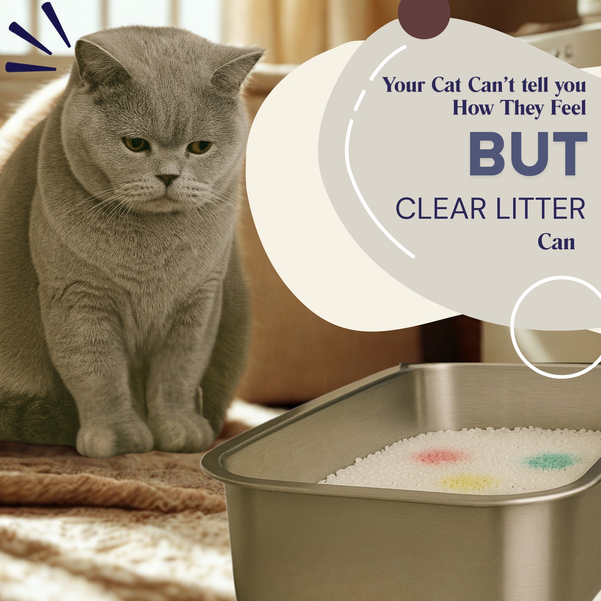 Health Monitoring Cat Litter